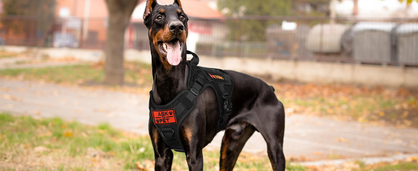 Шлейка для собак Rabbitgoo великих порід, без натягу, тактична з MOLLE, металеві пряжки, дихаюча, військова, чорна, L