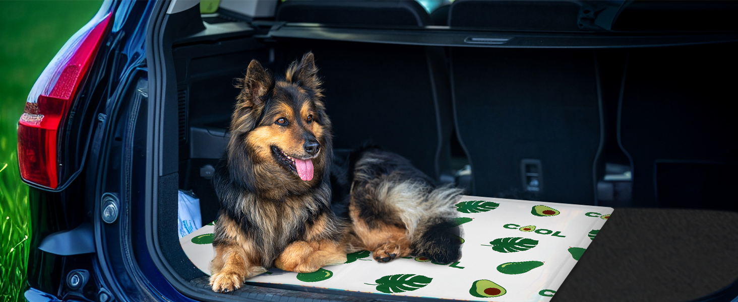 Кілим-охолоджувач для собак та котів Ninonly 50 x 65 см - самоохолоджуючий, водонепроникний, з нетоксичним гелем (Авокадо)