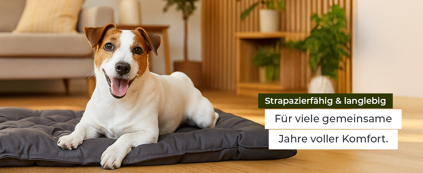 Ортопедичне собаче ліжко Doctor Bark Urban - для середніх собак, 70x50 см, сірий колір, Made in Germany. Можна прати до 95°C, міцне, для дому та вулиці.
