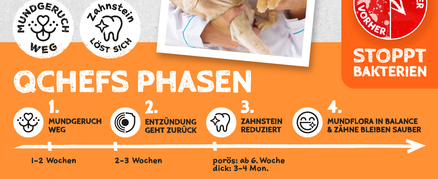 Набір для догляду за зубами собак QCHEFS: зубні нитки та килимок Lickimat Buddy для профілактики зубного каменю та запалення ясен