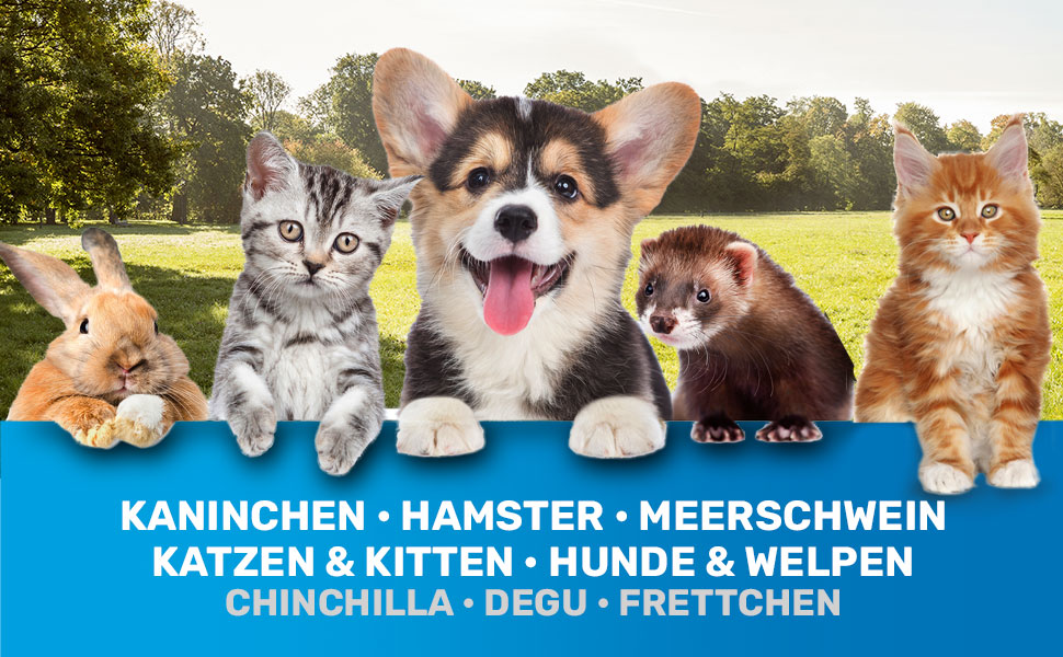 Щітка для собак та котів BluePet для довгої шерсті - видаляє підшерсток, ковтуни та вузли. Версія 2.0 з кнопкою для очищення. Для щоденного використання (Блакитна) (Міні Рожева)