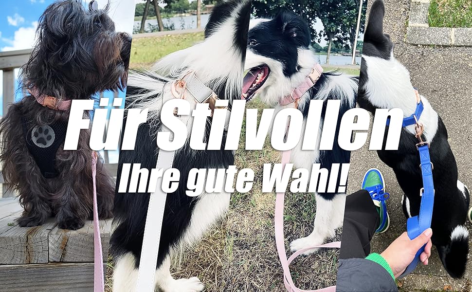 Набір повідця та нашийника для собак з м'якої шкіри (2м) - регульований поводок, стильна фурнітура Rose Gold, нейлонові повідці та нашийники для цуценят, собак маленьких, середніх та великих порід. Violett,M (обхват шиї 35-50см, ширина 2.5см). Колір: фіолетовий, блакитний