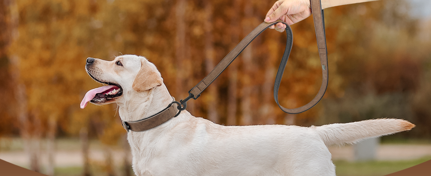 Нашийник для собак Didog з м'якої шкіри, дихаючий, міцний, з регульованою металевою застібкою, зелений, L, 33-43 см, 10-20 кг