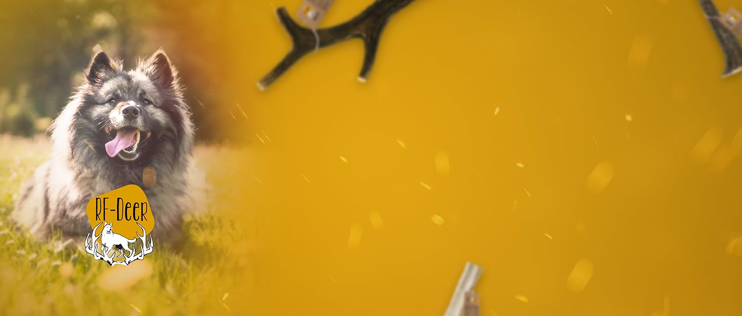 Диспенсер для корму для собак RF-Deer з дерева з 2 нержавіючими мисками, піднятий годівниця для собак, миска для котів, миска для собак, бар для собак, годівниця для котів, легко миється, 48x26x13 см, великий