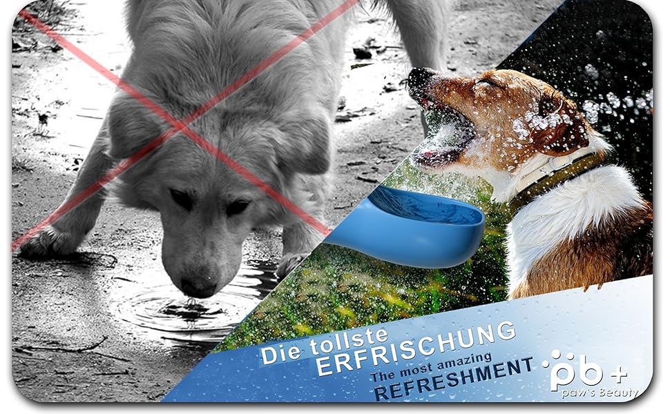 Набір з 2 шт. туристичних пляшок для собак з щіткою | Пляшка для собак 550 мл, вища якість, не протікає | Для подорожей