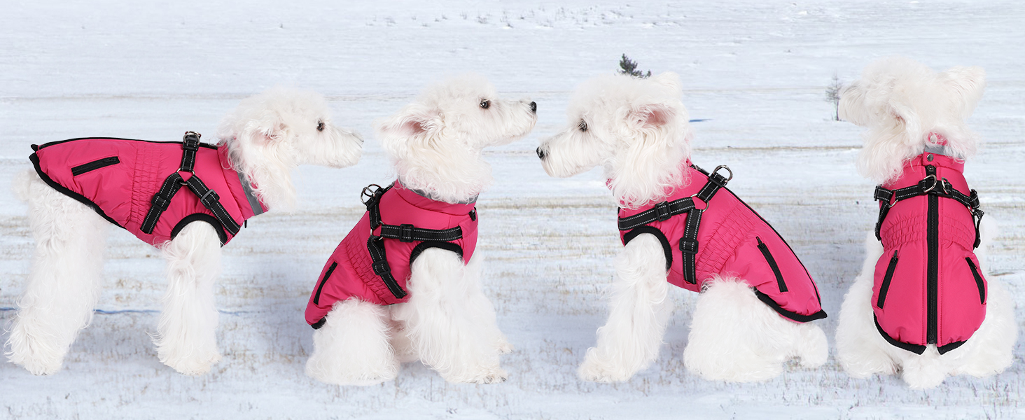 Водонепроникний теплий зимовий теплий куртка для собак та котів. Зелений, на блискавці