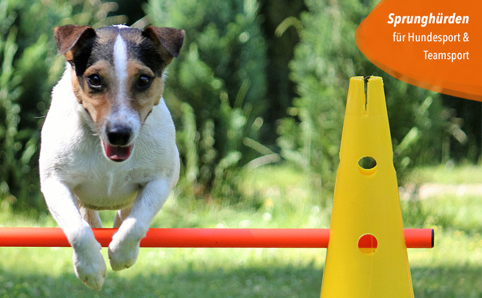 Набір для аджиліті SPORTIKEL24: 4 перешкоди для собак, коней та дітей (50 см, 100 см)