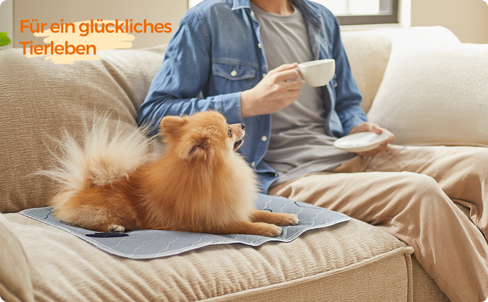 Підстилка для собак Feandrea, 2 шт., XXXL, 183 x 183 см, сіра, витривала, не слизька, супер вбираюча, для собак