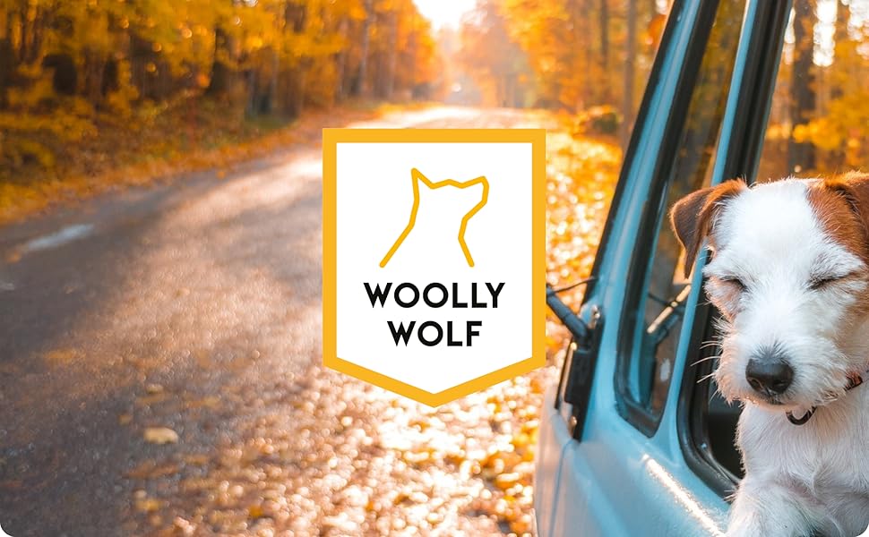 Нашийник для собак середнього розміру Woolly Wolf Nightless Night, розмір M - регульований нашийник з переробленого поліестеру, зручна посадка