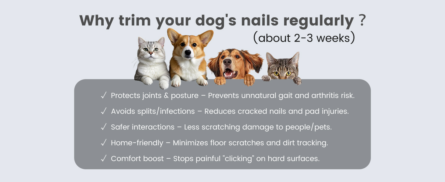 PAPMINI 2-в-1 триммер для когтів та стрижка когтів для собак, безшумний, акумуляторний, для великих, середніх та маленьких собак, білий