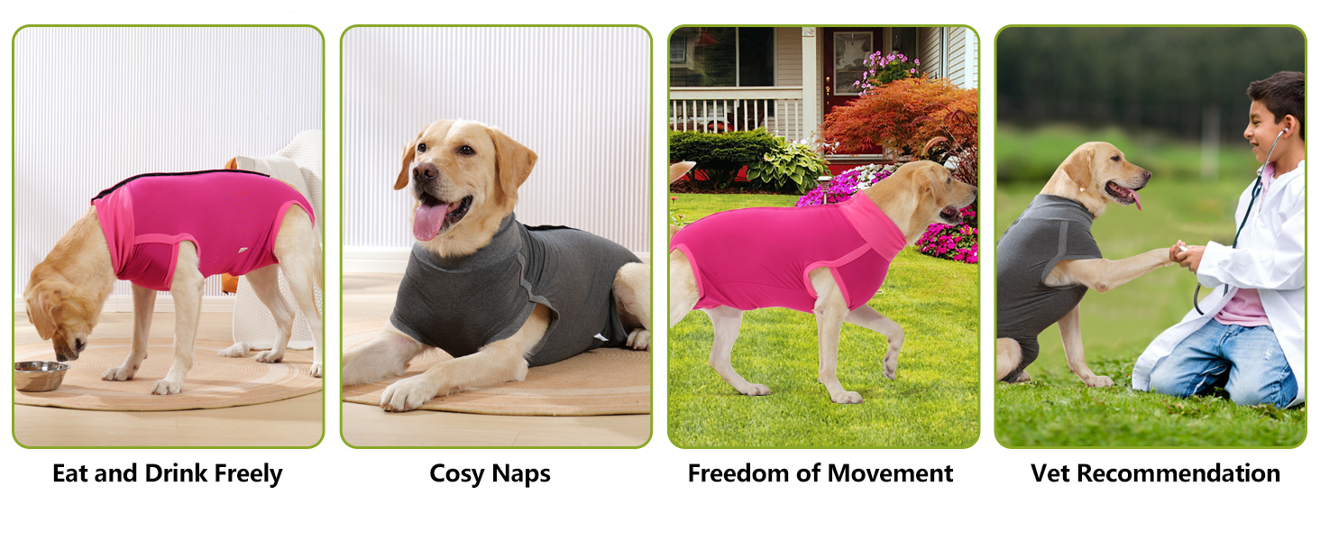 Комбінезон для собак після операцій Heywean – кастрація, стерилізація, післяопераційний одяг, сірий, L