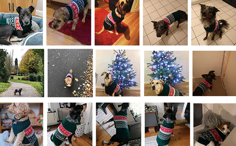 Теплий зимовий светр для собак середніх та великих порід - м'який, зручний, зелений