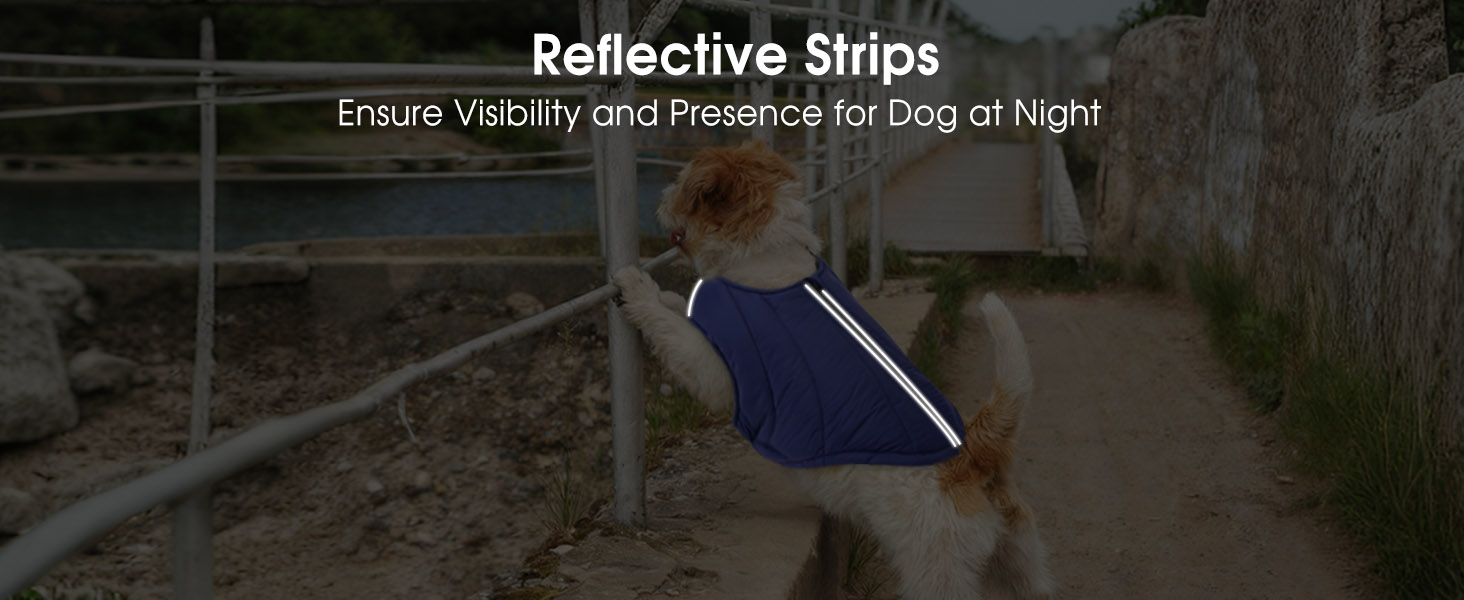 Водонепроникна куртка для собак - тепла зимова модель з блискавкою для малих, середніх та великих собак. Синій колір, розмір S.