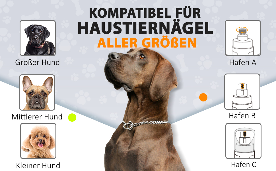 Шліфувальник для собак Profi Krallenschleifer: 3 швидкості, 4 LED-лампи, тихий, акумуляторний, для великих, середніх та маленьких собак (блакитний)