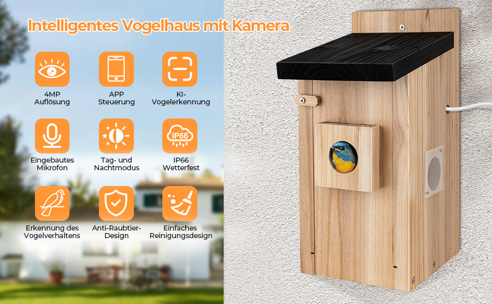 RAINBEAN розумний шпаківня з камерою 4MP для спостереження за птахами, зовнішній Wi-Fi відеоспостереження, AI-розпізнавання, DIY встановлення