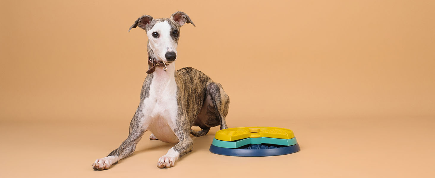 Інтерактивна іграшка-головоломка для собак CHEWFFON з обертовими шарами, повільний годівник, розвиває інтелект та стимулює розум