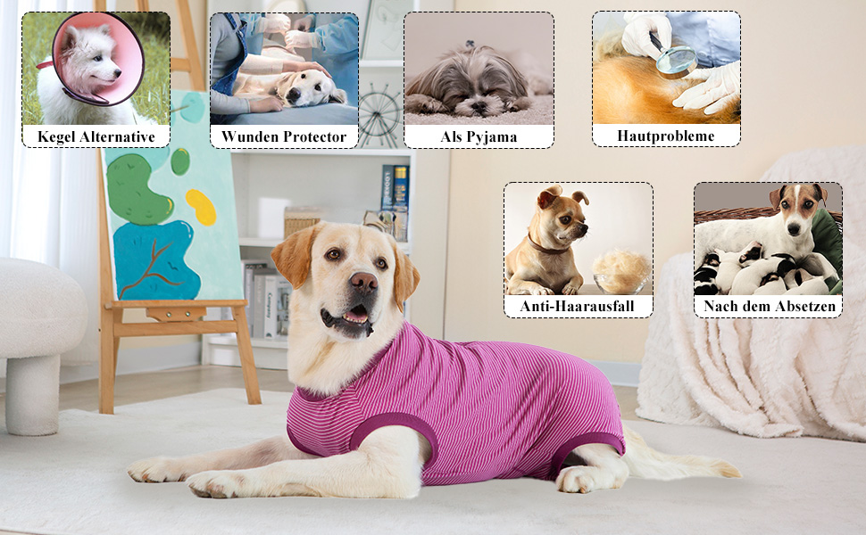 Операційний боді для собак після операції: захист від лизання, для кастрації, для кобелів та сук, медичний боді, захист рани, розмір S, колір фуксія