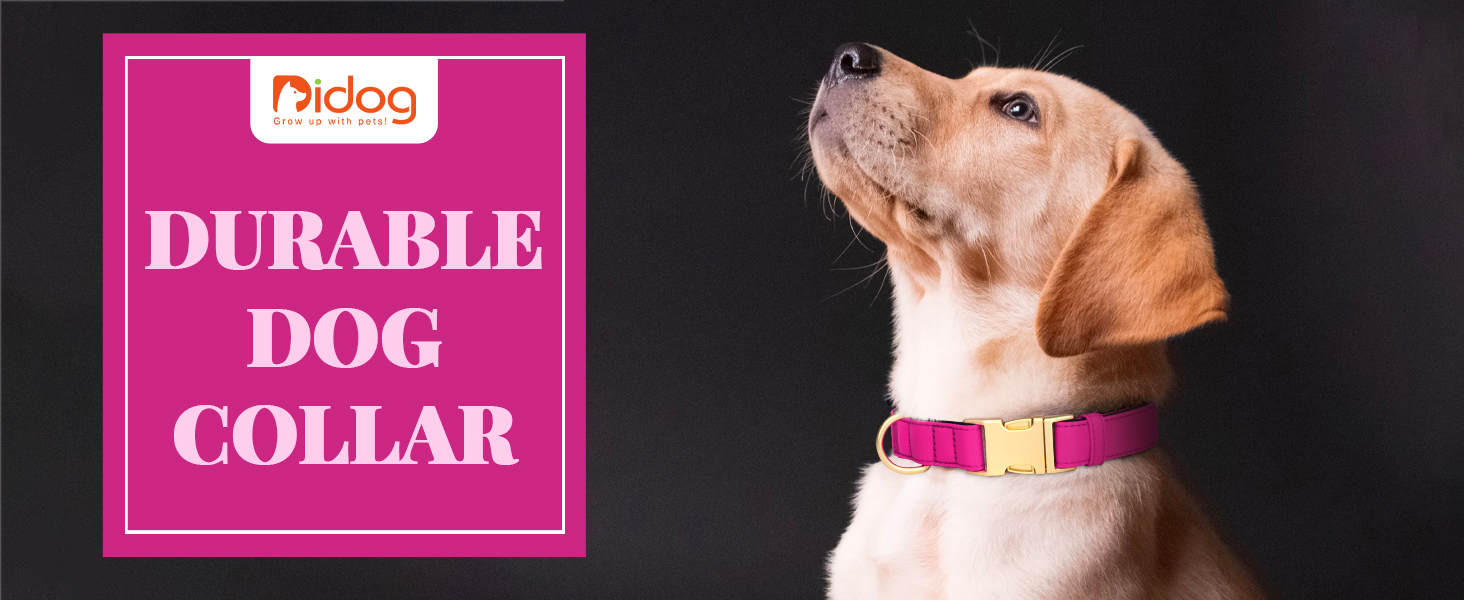 Нашийник для собак Didog з нейлону, м'який, з металевою застібкою-швидкої фіксації, чорний, розмір M (33-51 см)