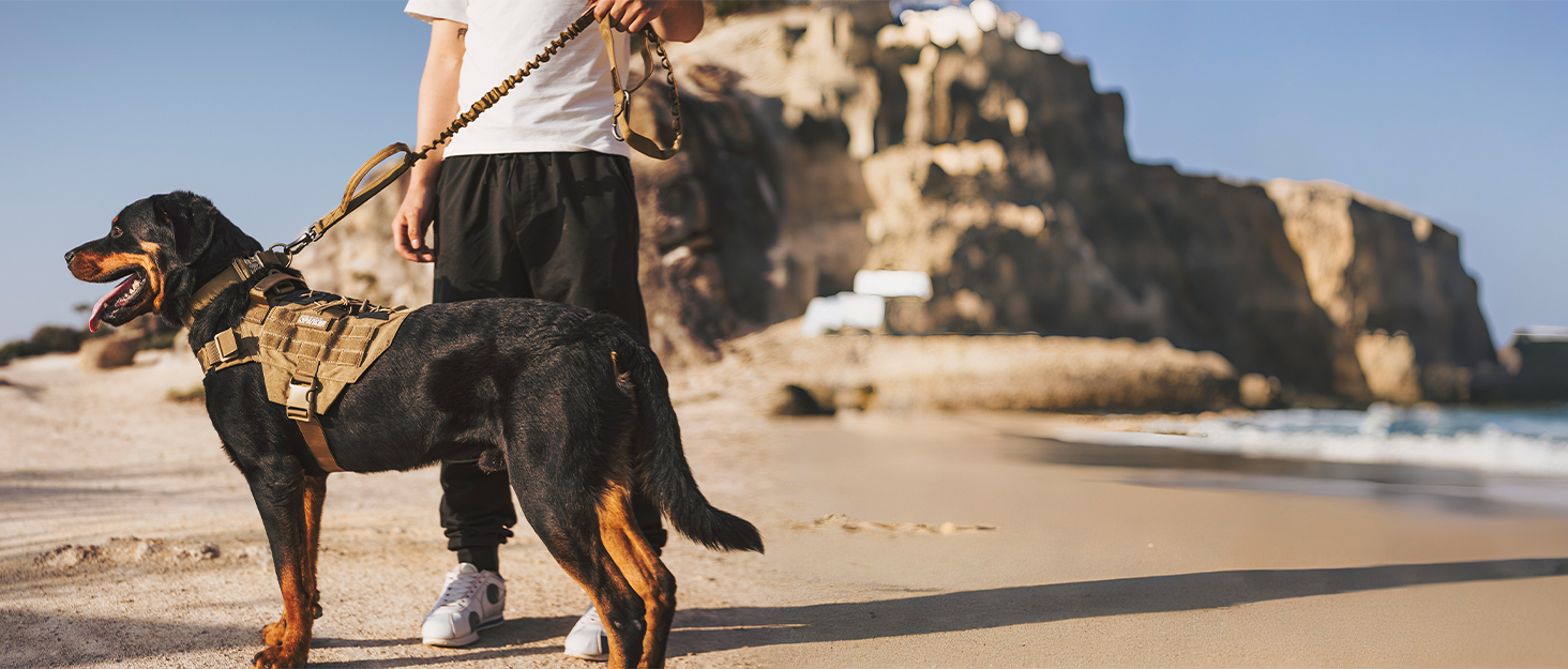 Рюкзак для собак RGN-L, великий, військовий зелений: зручний рюкзак-переноска для собак середніх та великих порід, ідеальний для подорожей, кемпінгу та прогулянок. Має 2 просторі бічні кишені.