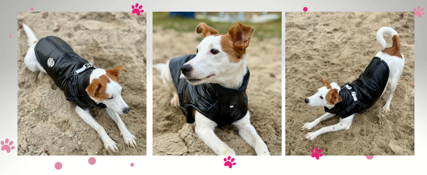 Водонепроникна куртка для собак 2-в-1 зі вбудованим шлейкою – зимова куртка з відбиваючими елементами для собак маленьких, середніх та великих порід – вітронепроникна, зручна та легка у догляді, сіра, розмір S