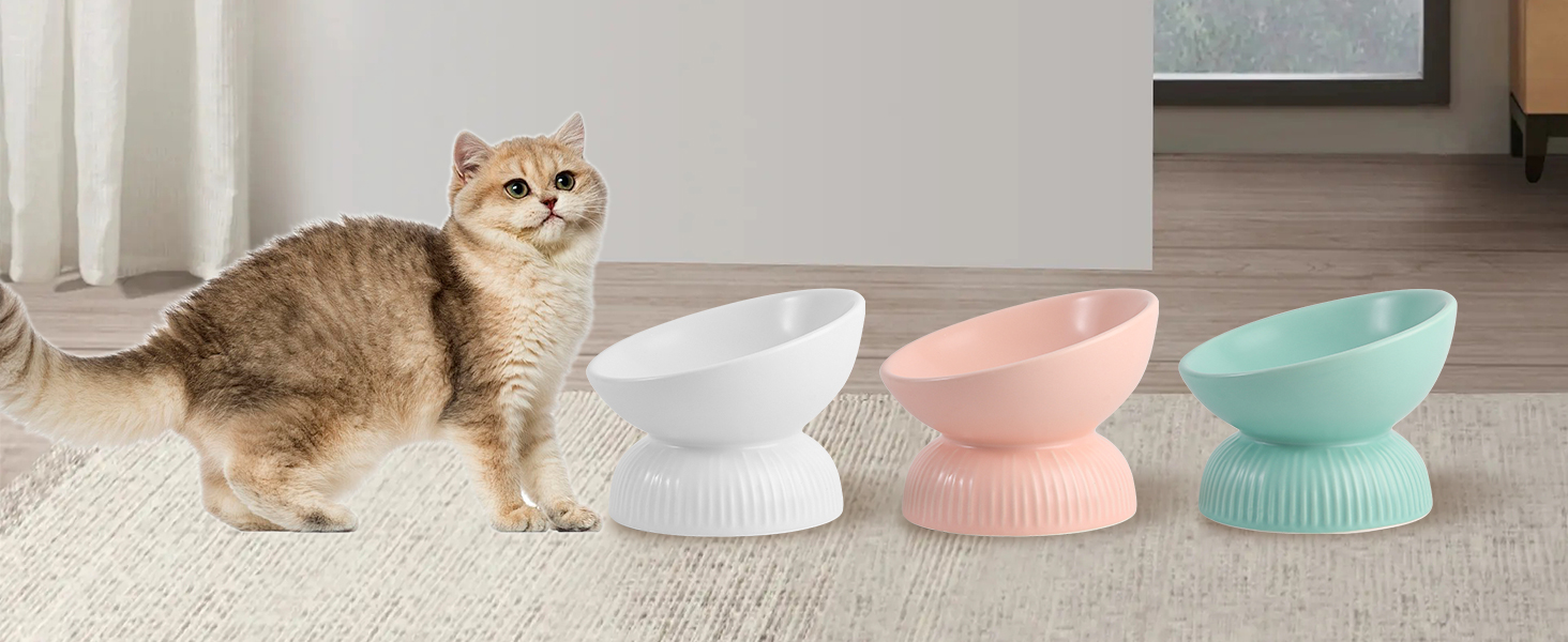 Підвищена годівниця для котів з кераміки - нахилена миска проти блювоти для котів - 280 мл, діаметр 15,5 см, біла