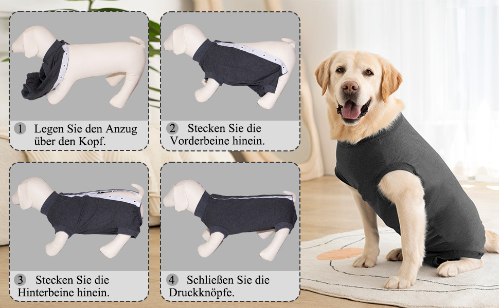 Післяопераційний боді для собак Cyponpy: захист від лизання та ран (L, сірий)