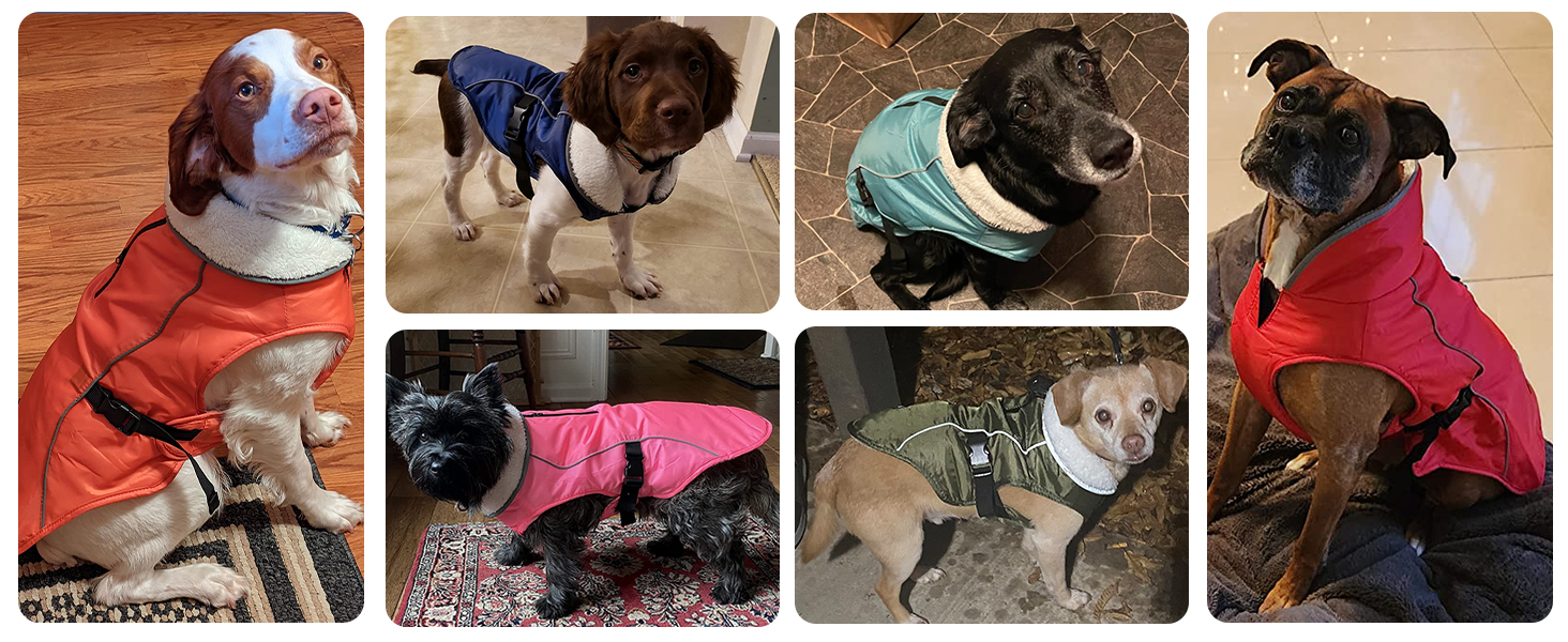 Зимова куртка для собак EMUST, тепла та вітронепроникна, червона, для середніх собак, розмір M