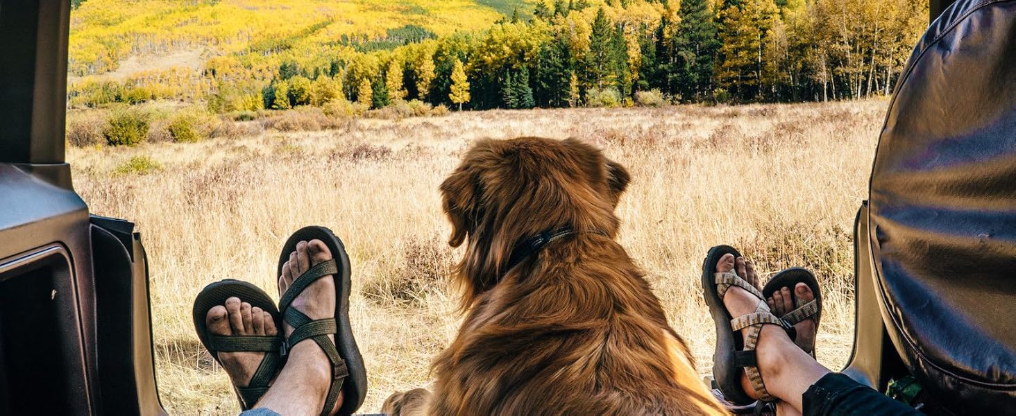 Захист для багажника автомобіля від бруду для собак bytaoqipet, 105x185 см, універсальний, водовідштовхувальний, з боковим захистом, для SUV/Kombi/хетчбек