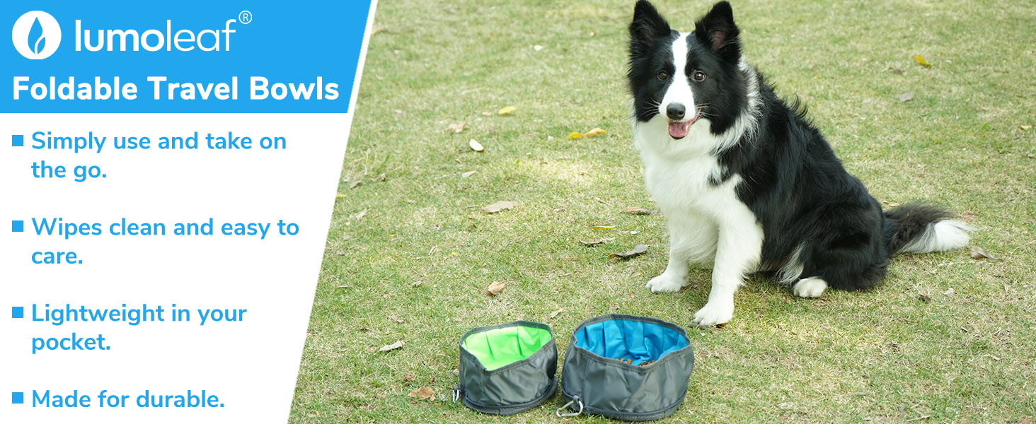 Набір мисок для собак LumoLeaf: 2 шт. (2L + 2.4L) - складані, для подорожей