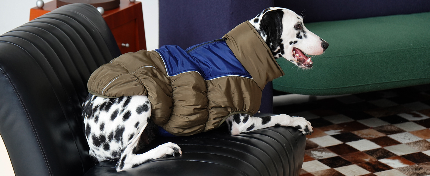 Зимові куртки та зимові пальта для собак IECOii, тепла зимова куртка для собак, пальта для собак, зимові пальта для собак, куртка-жилет для собак, теплий зимовий одяг для собак, водонепроникні куртки для собак, зелений колір, розмір M (обхват грудей: 53 см), армійсько-зелений