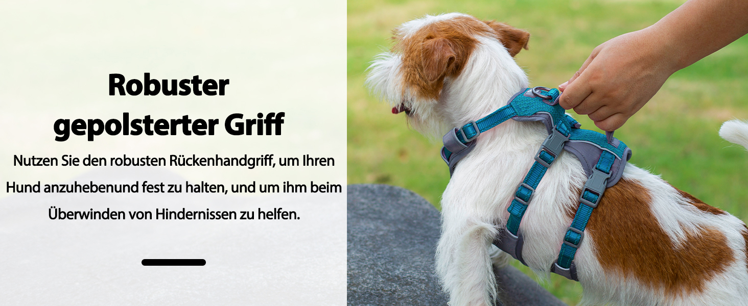 Нашийник-шлейка Huntboo для собак, анти-випадковий вихід, для панічних собак, світловідбиваючий нашийник з ручкою, регульований (S, 1 шт., блакитно-зелений)