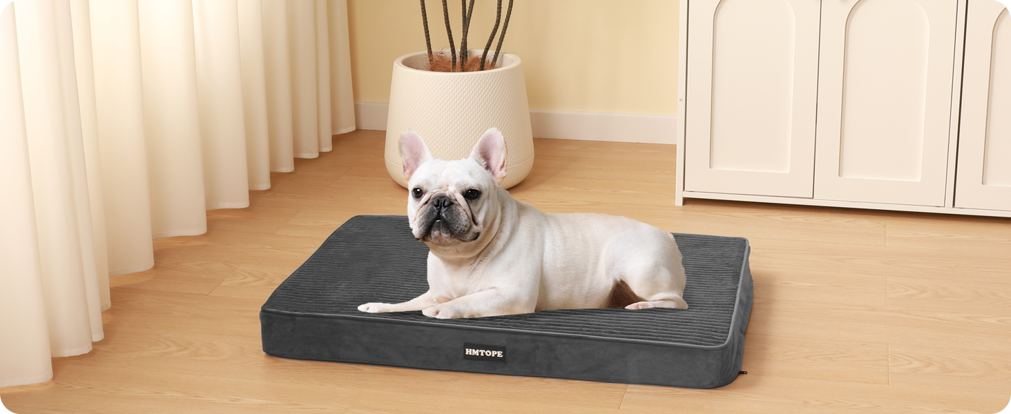 Ортопедичне ліжко для собак, 8 см товщина, подушка для маленьких собак, знімний та пральний килимок, неслизьке дно, водонепроникна підкладка, 76 см, темно-сірий L 76 x 51 x 8 см, темно-сірий