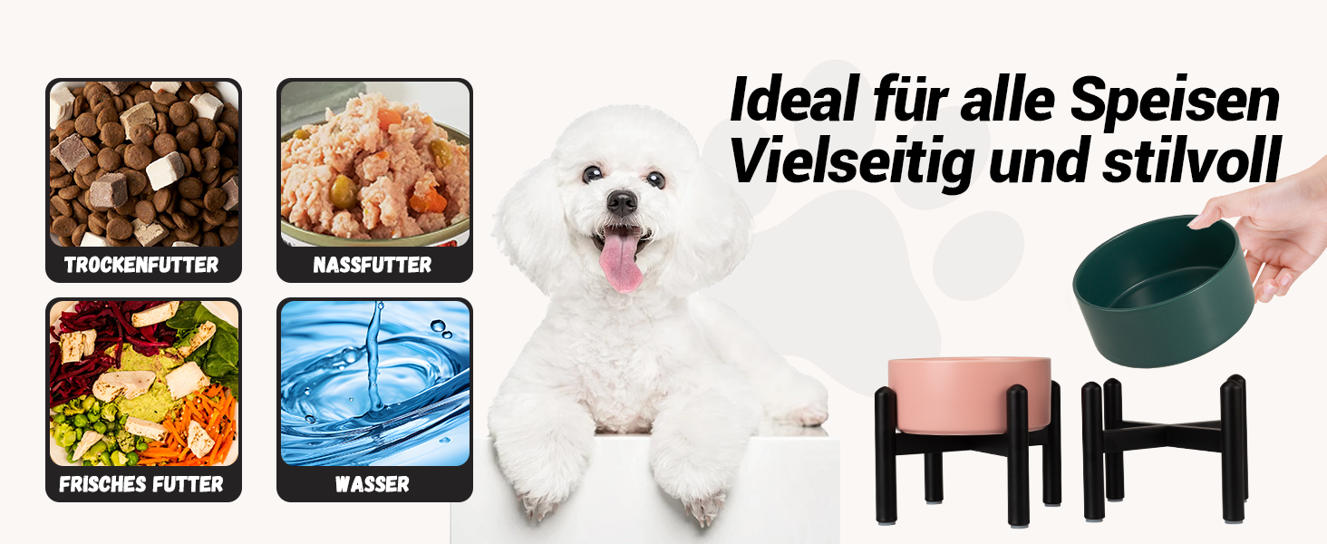 Підвищена годівниця для собак, керамічна миска для корму з нержавіючою підставкою - для маленьких та середніх собак, діаметр 15,5 см, об'єм 850 мл, білий колір