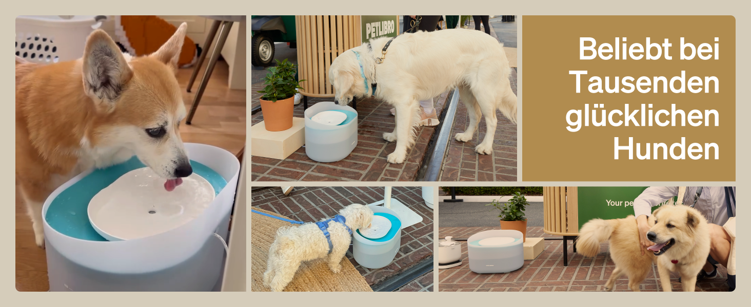 PETLIBRO фонтанчик для собак та котів, 8л, білий. Тиха робота 26dB, захист від розливу, легка чистка, підходить для великих собак та кількох котів