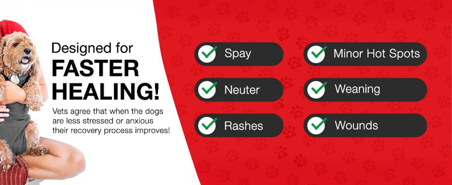 Захисний боді для собак після операції (кастрація/стерилізація), альтернатива нашийнику, сірий, 2XL