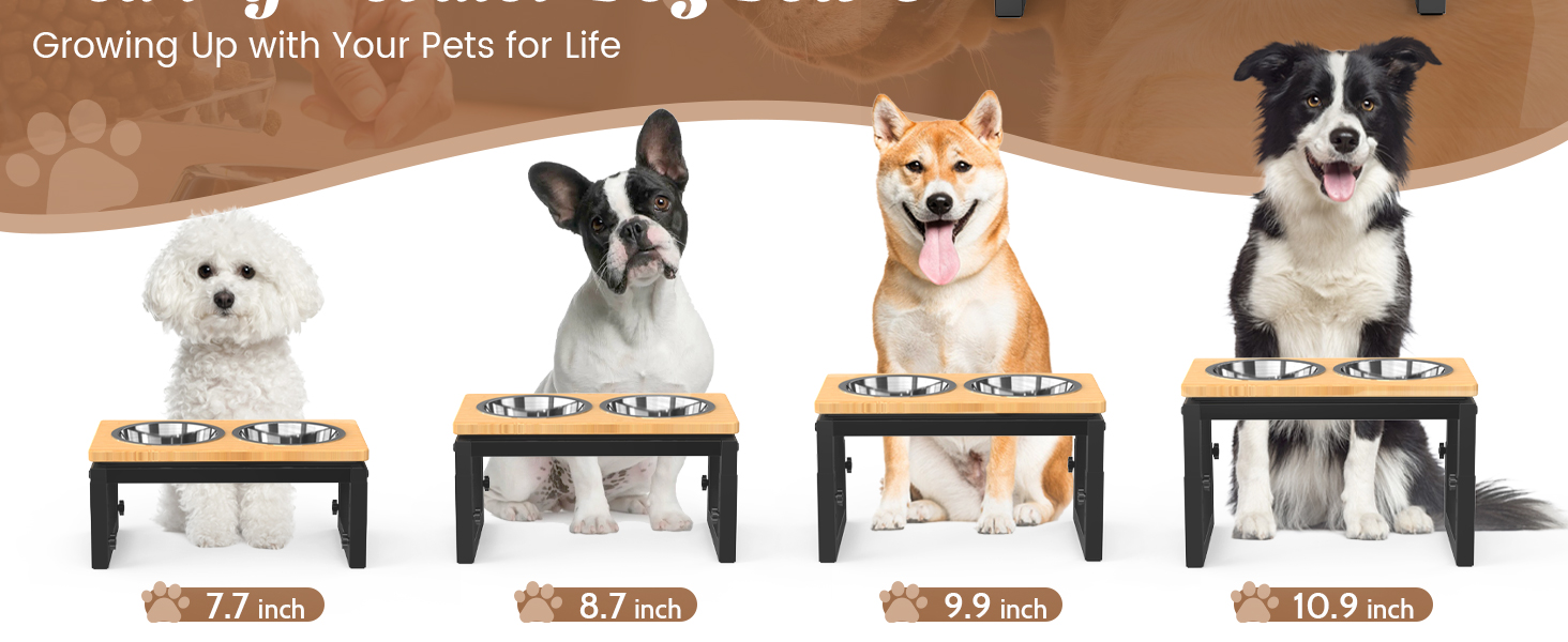 Підвищена годівниця для собак середніх та великих порід, чорна. 2 миски з нержавіючої сталі, регульована висота