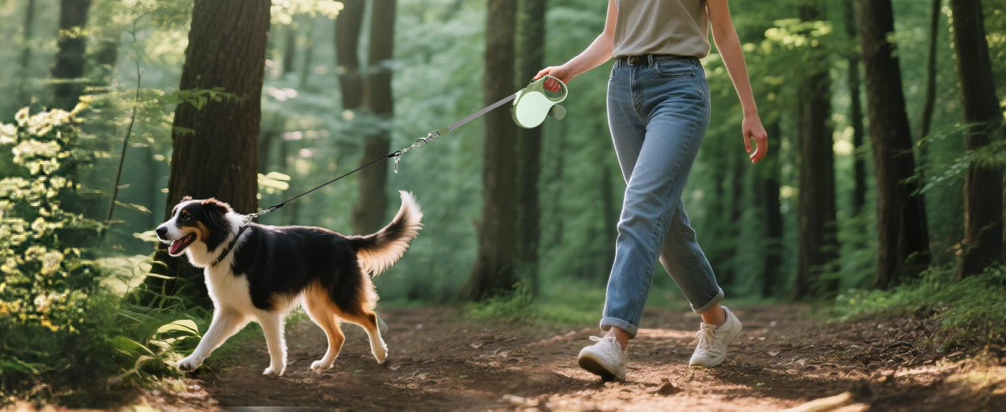Рулетка для собак BMaobbo 8м, міцна сталева лебідка, тримач для відходів, антизаплутування, швидке гальмування, для собак до 50кг, для тренувань, лісу, пляжу
