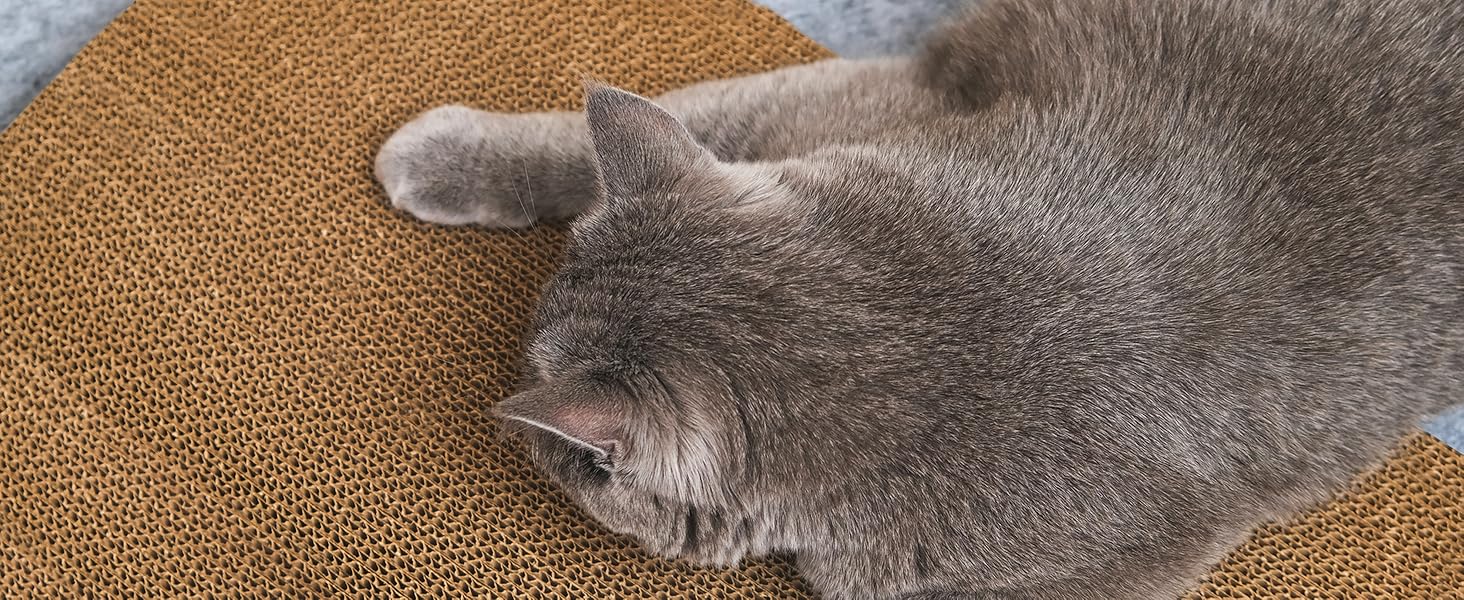 Casa Pura Килимок-книжка для котів з картону, 25 x 40 x 15 см - ідеально для точіння кігтів, ігор та відпочинку