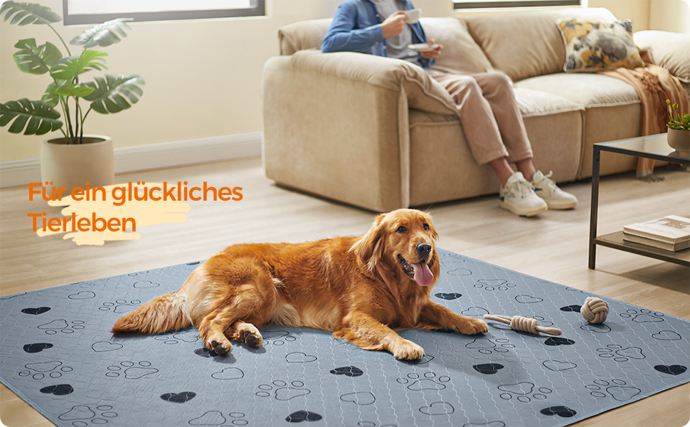 Підстилка для собак Feandrea, 2 шт. в наборі, XXXL (183x183 см), водонепроникна, неслизька, супер вбираюча, сіра