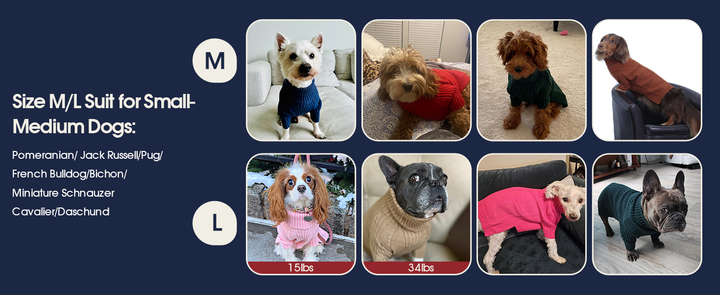 Зелений теплий зимовий пуловер для собак IECOii, великий розмір (XX-Large), для чихуахуа, бульдога, лабрадора