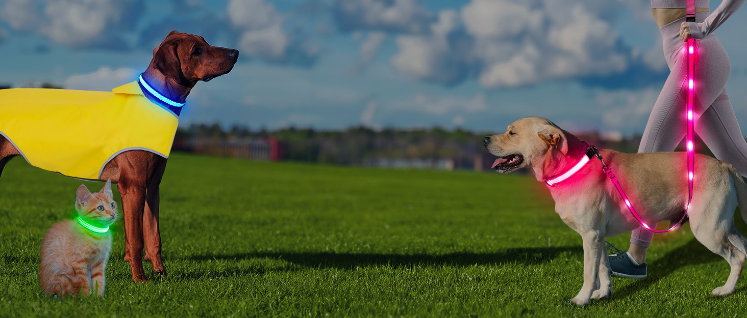 Водонепроникний теплий дощовик для собак - регульований жилет для собак з відбиваючими елементами. Підходить для малих, середніх та великих собак (зелений, X-Large)