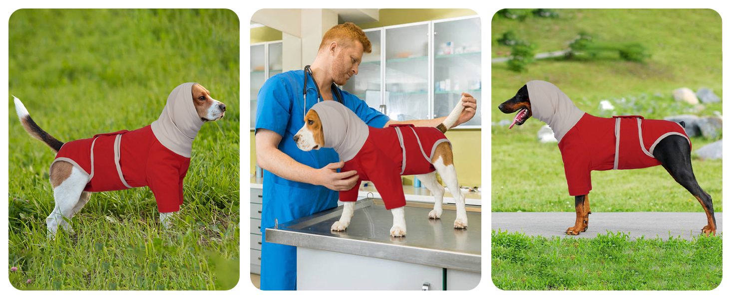 Теплий дощовик-худі для собак з капюшоном та захистом вух, 2 в 1, зелений (M, червоний)