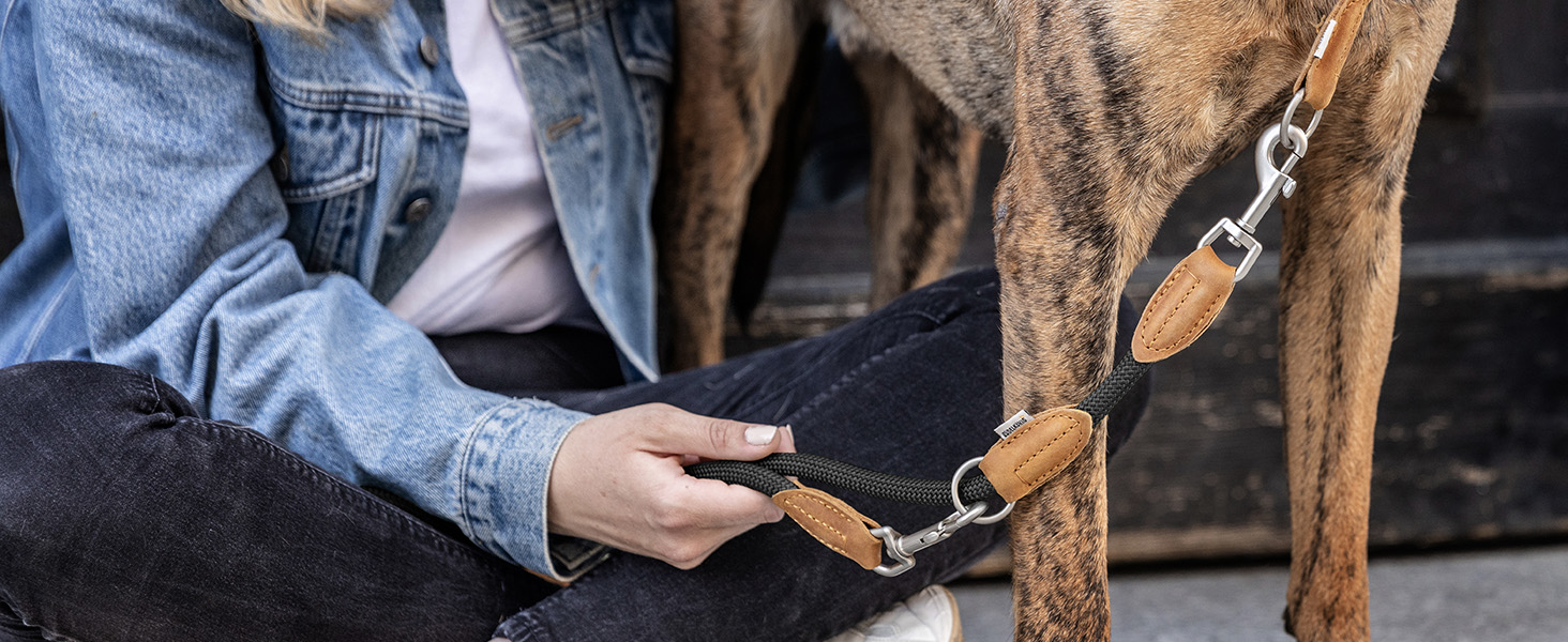 Нашийник для собак Rudelkönig Emma - Елегантний нашийник-стоп для собак з шкіри та нейлону - ø 12 мм - Зручний навчальний нашийник для великих собак (6, Чорний)
