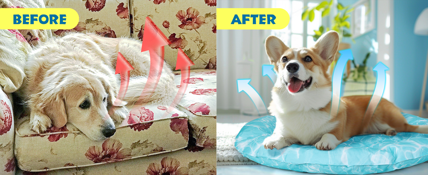 Кühlmatte Hunde Katzen Orbicular: Охолоджуючий килимок для собак та котів, розмір M, 72x72x5 см