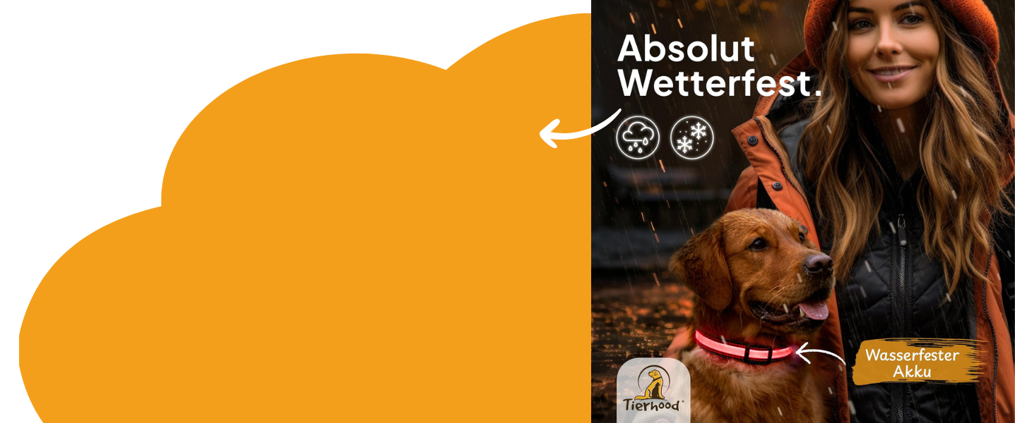 Світловідбиваючий нашийник для собак Tierhood - LED нашийник для маленьких та великих собак, оранжевий, розмір S (30-45 см)