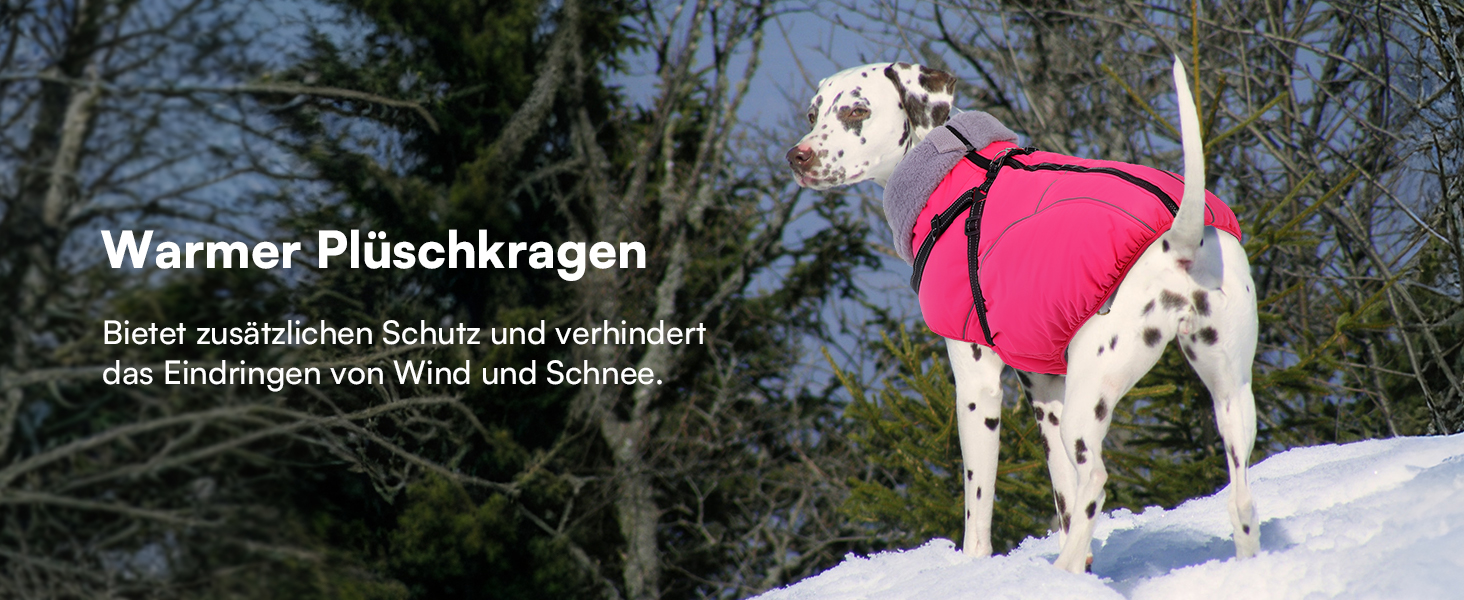 Зимовий теплий водонепроникний одяг для собак Queenmore, куртка для собак з шлейкою, 3-шарова, світловідбиваюча, для великих порід (лабрадор, хаскі, голден ретрівер) (Морська хвиля, 2XL) XXL Морська хвиля