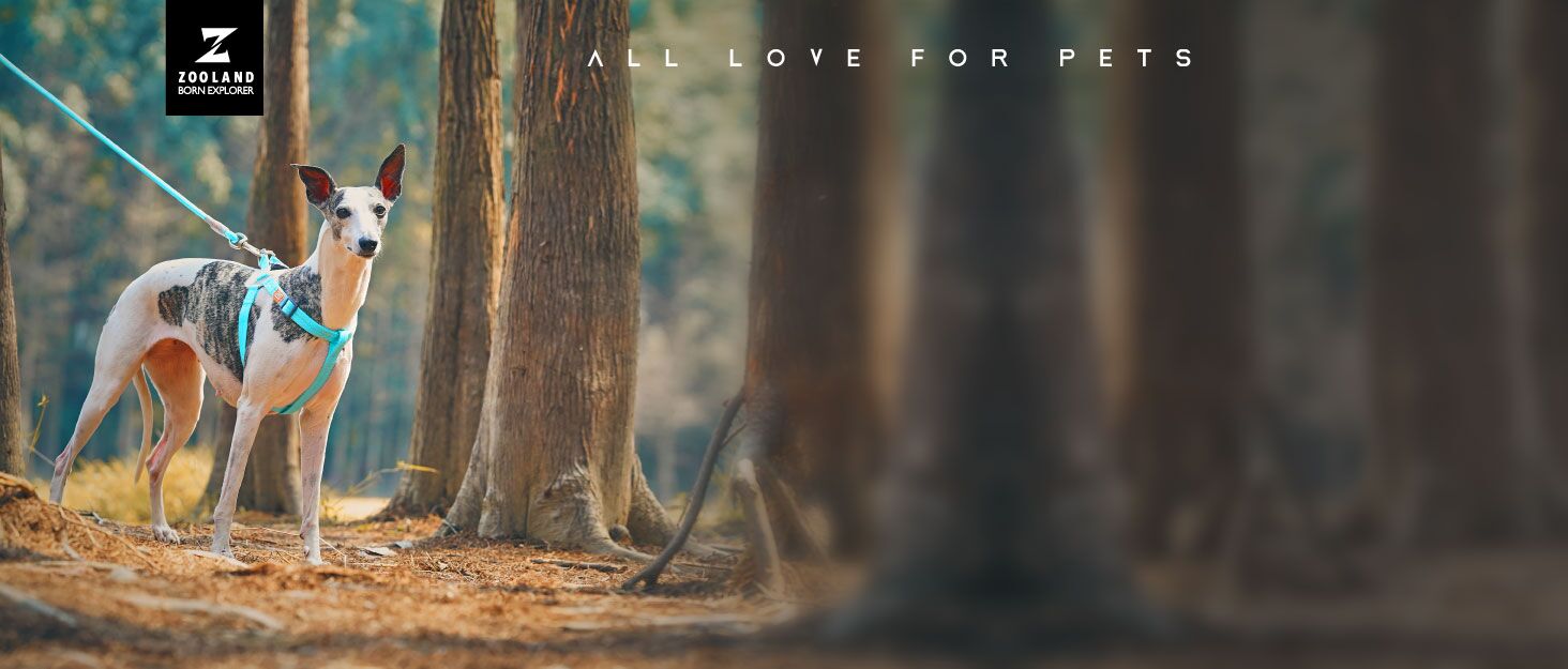 Жилет для плавання собаки ZOOLAND, великий, зелений. Регульований, довговічний, з світловідбиваючими елементами для собак маленьких, середніх та великих порід