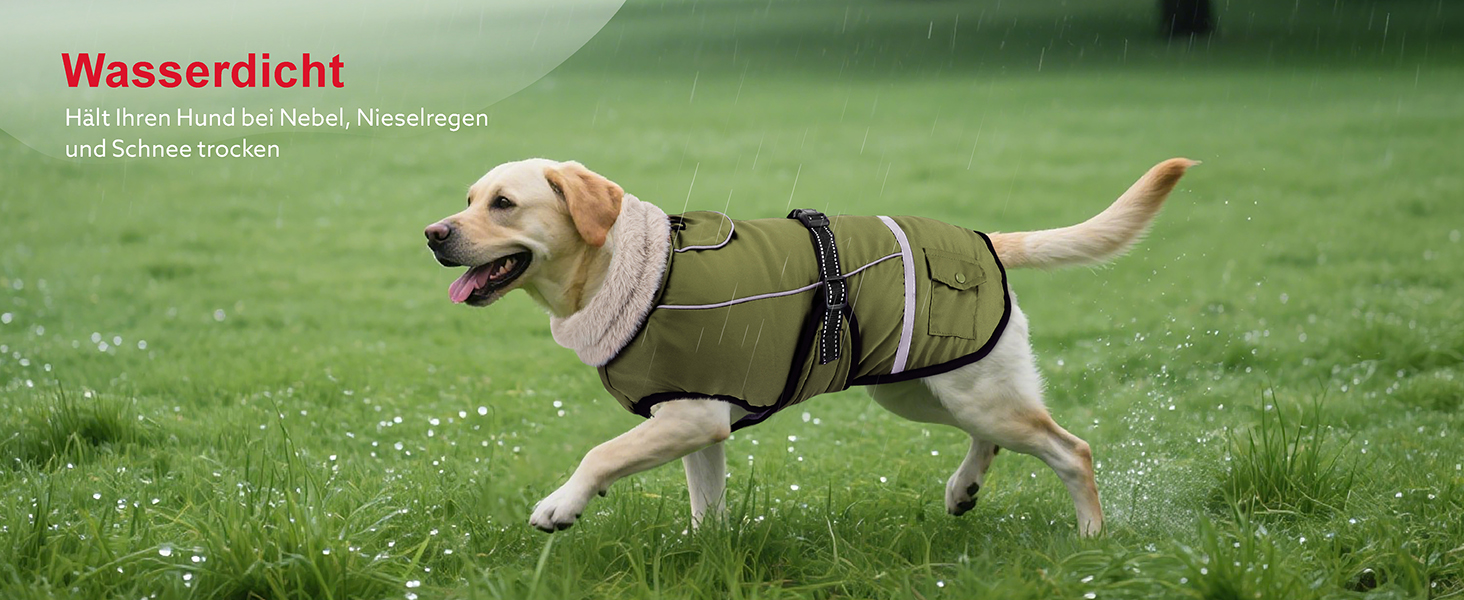 Зимовий одяг для собак, водонепроникна куртка для великих собак з регульованими лямками, теплий одяг для собак з флісу, світловідбиваючі смуги, підходить для лабрадорів, оливковий, XL