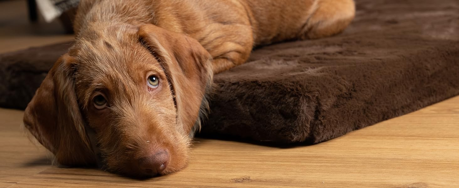 TrendPet VitaMedog - Віскоеластичний матрац для собак, коричневий (50x35 см)