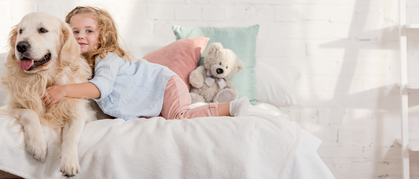 Ортопедичне ліжко для собак середнього та великого розміру, подушка для собак 91x68x7 см, миється, знімний наматрац, сірий колір